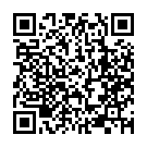 C&oacute;digo QR con el enlace al titular Puente, sobre el accidente: «No sabemos aún las causas, es muy extraño»