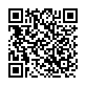 C&oacute;digo QR con el enlace al titular Golpe por alcance en el que están involucrados un camión y un turismo.