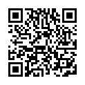 C&oacute;digo QR con el enlace al titular Pandereterita