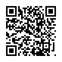 C&oacute;digo QR con el enlace al titular Brief interviews