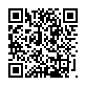 C&oacute;digo QR con el enlace al titular Karenino