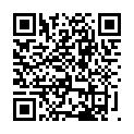 C&oacute;digo QR con el enlace al titular 600 tuits