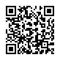 C&oacute;digo QR con el enlace al titular Poleskine