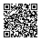 C&oacute;digo QR con el enlace al titular Un conductor se despista y se empotra contra una farola en la glorieta de acceso a Toral de Merayo