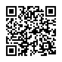 C&oacute;digo QR con el enlace al titular Un narrador en la intimidad