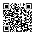 C&oacute;digo QR con el enlace al titular El viajero