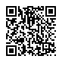 C&oacute;digo QR con el enlace al titular Tvitec enarbola el nombre del Bierzo en la cima de la Sagrada Familia en la visita del Papa