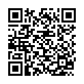 C&oacute;digo QR con el enlace al titular «San Cristóbales» toralenses