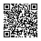 C&oacute;digo QR con el enlace al titular Nueve heridos tras un accidente en el Gran Premio de Velocidad de La Bañeza