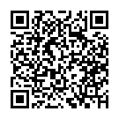 C&oacute;digo QR con el enlace al titular Unos cohetes caseros que emocionan a los más pequeños