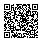 C&oacute;digo QR con el enlace al titular Los fuegos artificiales iluminan la noche de la Encina