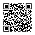 C&oacute;digo QR con el enlace al titular Destruyen un proyectil de la Guerra Civil en Puebla de Lillo